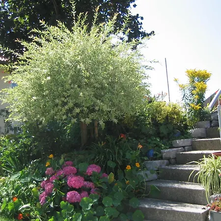 Wirth Z ' 3* Moosham